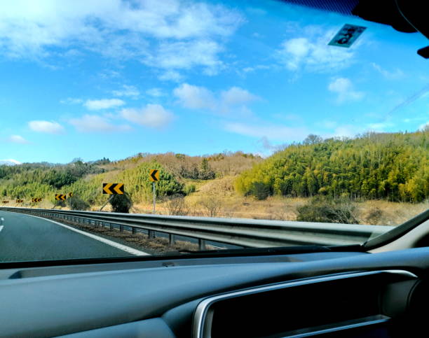 istock Scenic Rural Road with Curved Warning Signs 2203033235