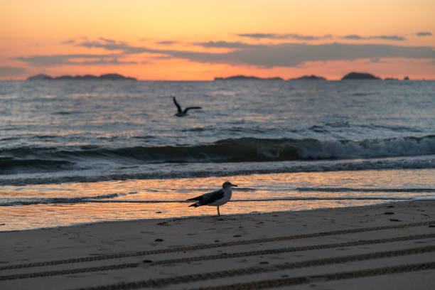 idyllic seascape