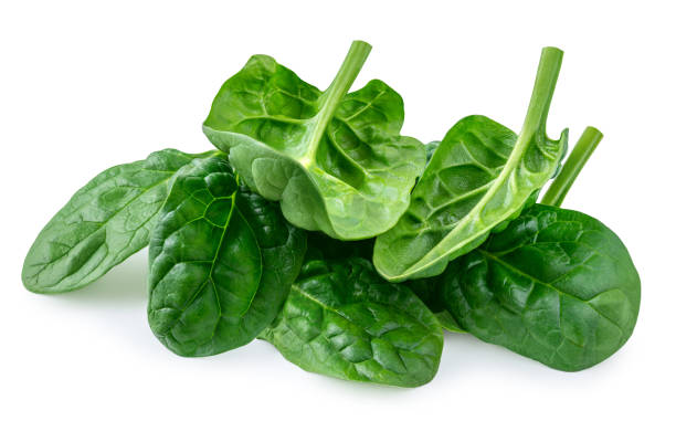 istock Organic Spinach leaves isolated on white background. Baby Spinach leaf Flat lay. Top view.  Espinach leaves food salad ingredient. Package design element 2203038771