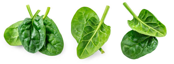 istock Flying Spinach leaves collection isolated on white background. Baby Spinach leaf Set.  Flat lay. Top view.  Espinach leaves 2203038773