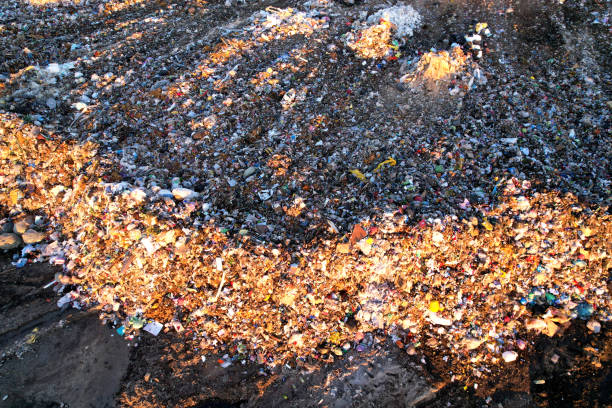 Garbage containers at a tuscan beach