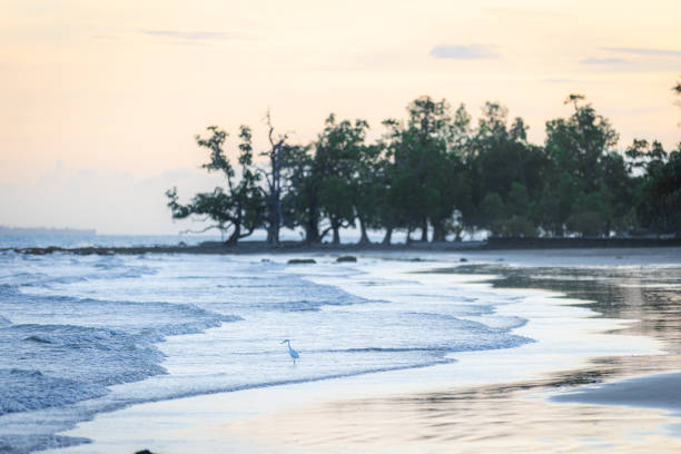 Seascape with low tide, cloudy sky.Palawan Island - Philippines.
