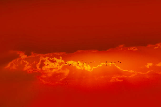 Scenic view dramatic beautiful sunset sky. Natural Sunset Sunrise on meadow silhouette shadow dark land. Vibrant dramatic sky on sunset, dawn, sunrise in Countryside. Landscape Colorful Sky At Sunset