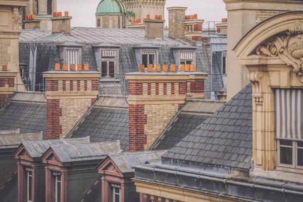 Rooftops in Paris-France