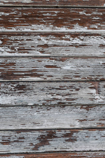 A close-up of old wooden planks with peeling white paint, revealing the natural wood grain beneath. The distressed and weathered texture creates a rustic and aged appearance, perfect for backgrounds, vintage designs, and creative projects.