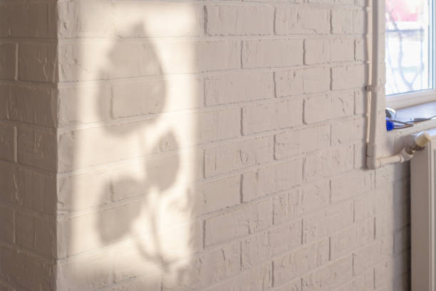 White brick interior wall in house with window and shadow pattern of flower leaves.