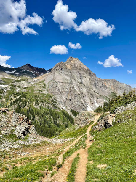 A scenic dirt trail winds through an alpine landscape, leading toward a towering, rugged mountain peak under a brilliant blue sky dotted with fluffy white clouds. Green meadows, rocky outcrops, and patches of evergreen trees add to the untouched wilderness charm. This image captures the essence of adventure, exploration, and the beauty of high-altitude hiking.