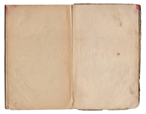 istock Vintage empty background of old book paper texture isolated 2203058075