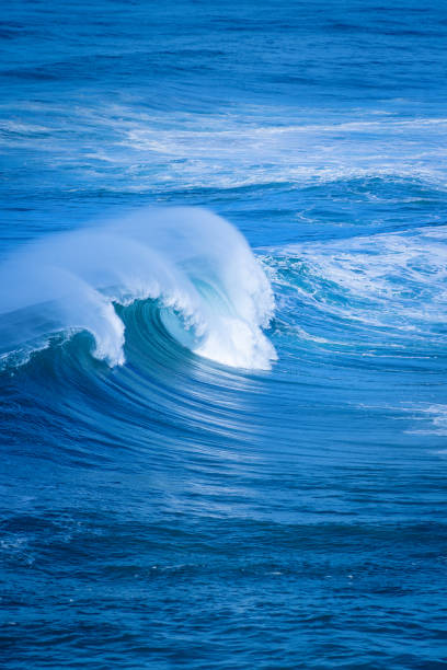 istock big waves nazere portugal 2203058993