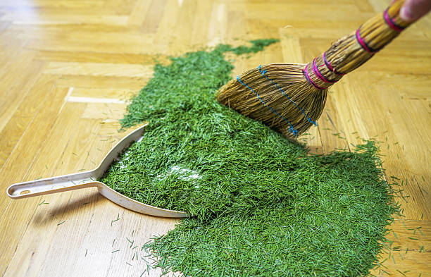 istock Cleaning Christmas Tree. Fallen spruce needles on floor in room. 2203062443