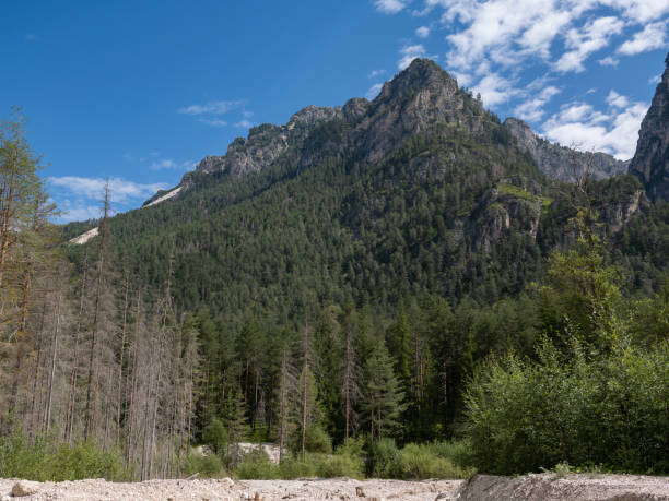 istock Alpine Forest with Rugged Mountain Peaks Against a Blue Sky, Italy 2203063026