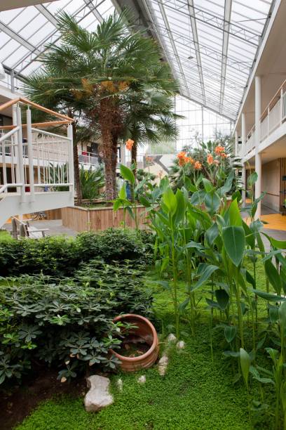istock Atrium at a day care centre with plants and trees. 2203063961
