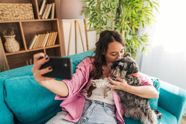 istock Woman taking a selfie with her miniature schnauzer on the sofa at home 2203064355