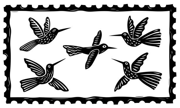 set of colorful and black hummingbirds drawn in woodcut style