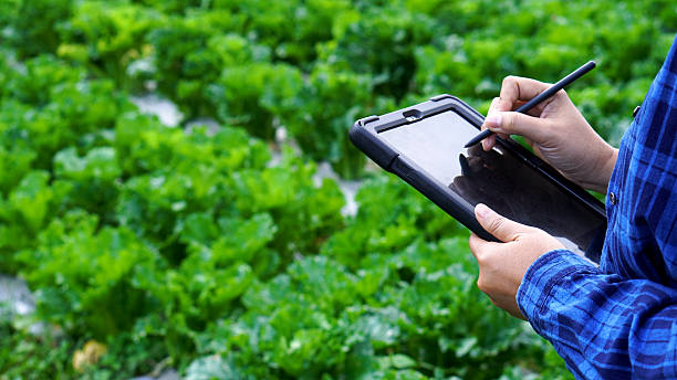 istock Eco green farm sustainable. 2203065084