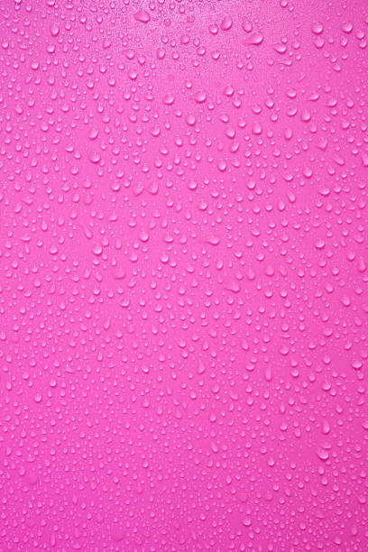 Drops on Pink background. Water drops on Pink Violet tone background.