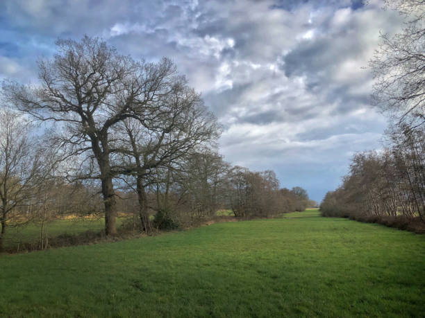 istock Meadows and trees at Uffelte Drenthe 2203067090