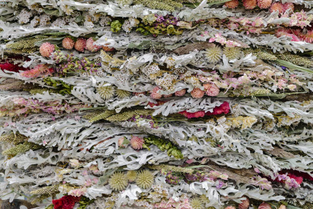 istock Decorative panel composed of dried wild plants, flowers and lichens 2203071416
