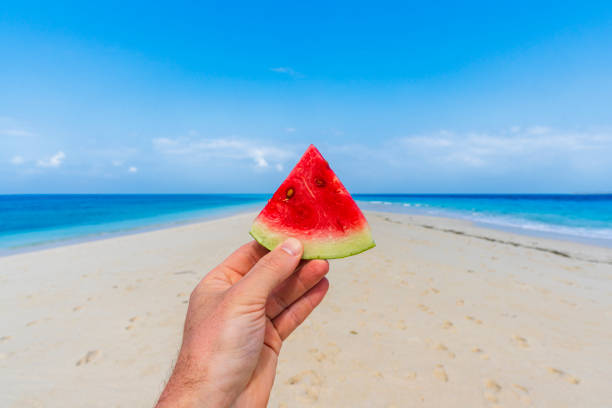istock Person holding watermelon slice on white sand beach 2203073434