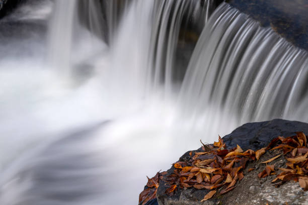 tranquil landscape in autumn