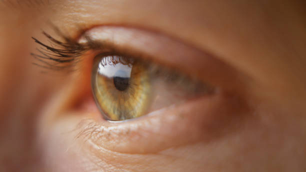 istock Detail of woman's eye 2203077673