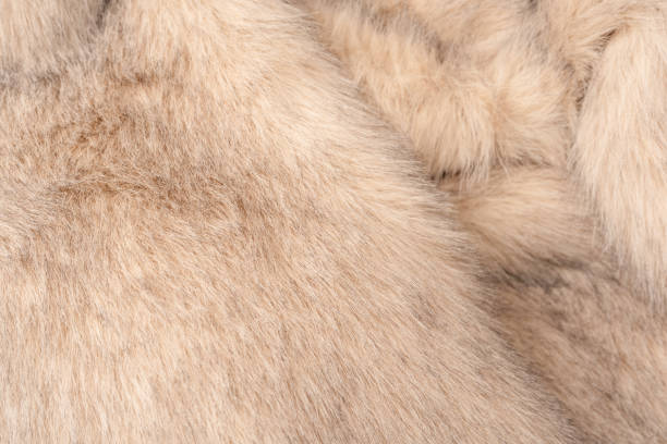 istock Texture of faux fur as a background, top view. 2203078024