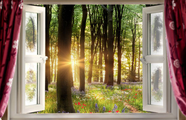 istock Looking through open window to amazing flower forest landscape 2203078301