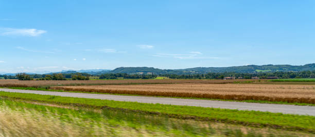 Sunny agricultural scenery seen in the Provence region of southern France