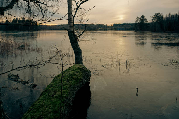 istock Scenic view of a lake during winter 2203080877