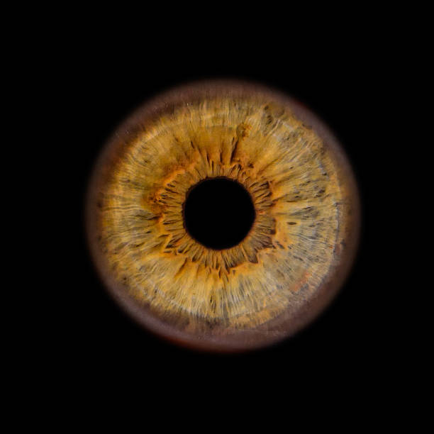 istock Vivid Golden Eye Sphere 2203080901