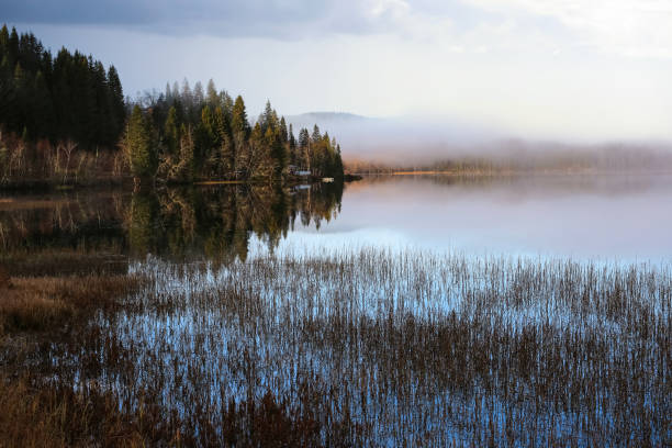 Foggy autumn day at the lake Jonsvatnet located nearby the city Trondheim