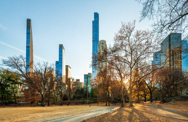 istock Manhattan Central park at sunny december day 2203084600