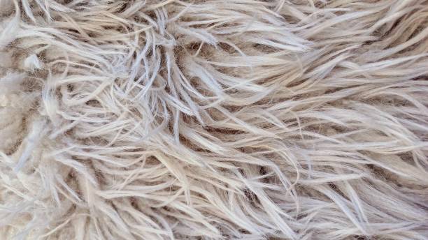 istock Artificial fur texture for background and winter decoration, cozy sweet home decor selective focus. 2203092082