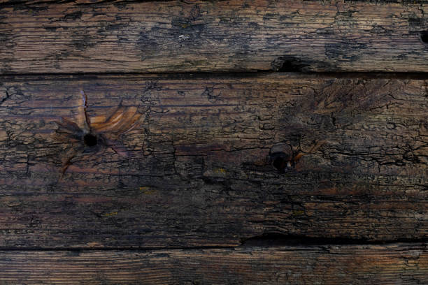 An aged, dark wooden surface elegantly showcasing natural textures and intricate patterns throughout its design