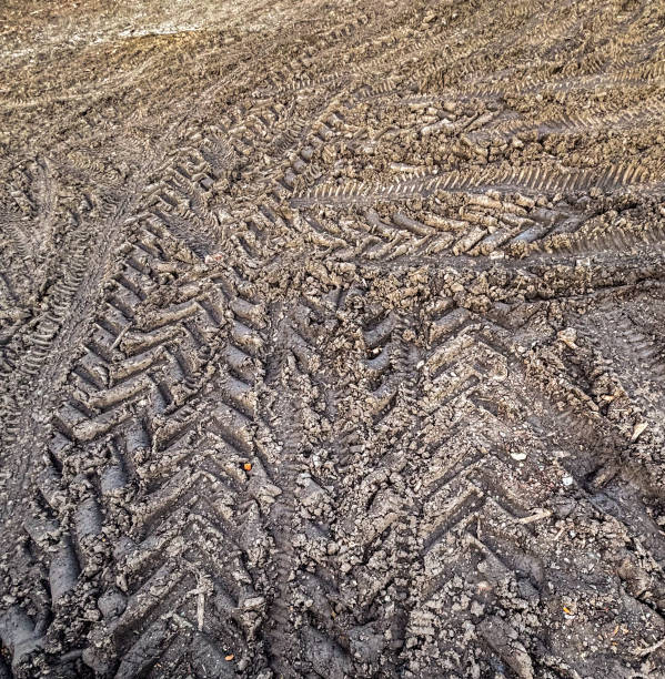 Mud Track Tire Prints Creating Intricate Patterns on a Rural Dirt Road