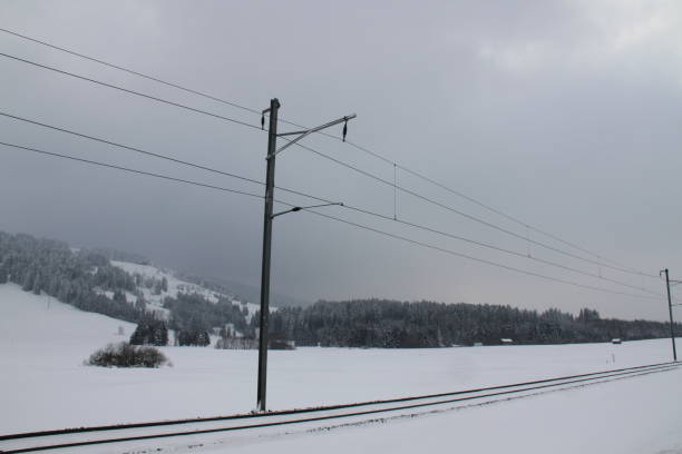 Snow landscape. Electricity poles.