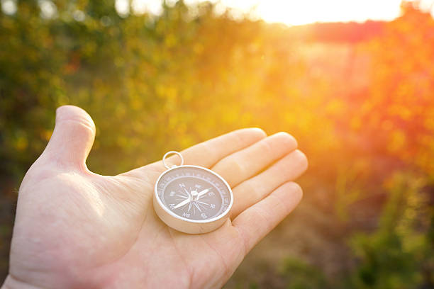 istock Compass in hand at forest. Tourist compass for orientation on the terrain. 2203110932