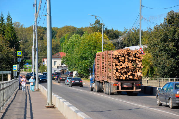 Torzhok, Tver Oblast, Russia - September 7, 2024: A loaded timber truck within the city limits. People look at the truck.