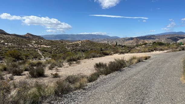 istock Western desert passed by gravel road 2203121436