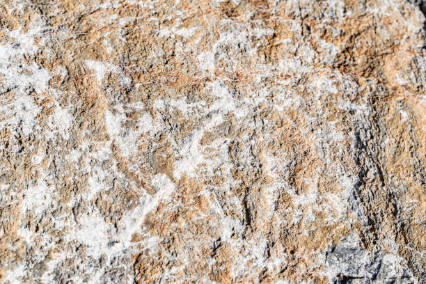The background is a beautiful rough stone texture in close-up