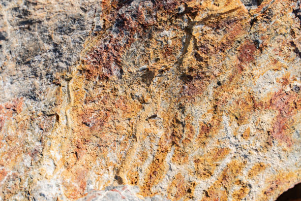 istock The background is a beautiful rough stone texture in close-up 2203123363