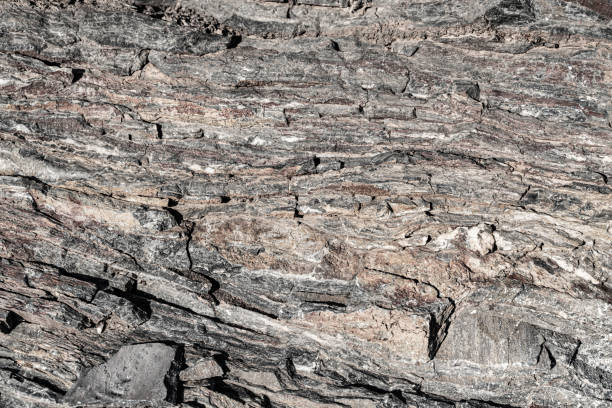istock The background is a beautiful rough stone texture in close-up 2203124197
