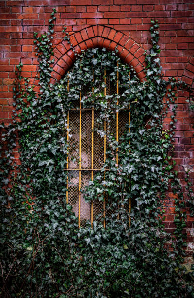 istock Beautiful brick gothic abandoned house 2203125425