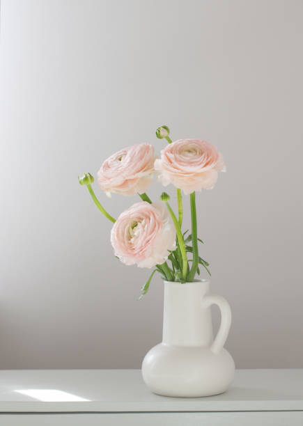 istock spring flowers in vase in white modern interior 2203127547