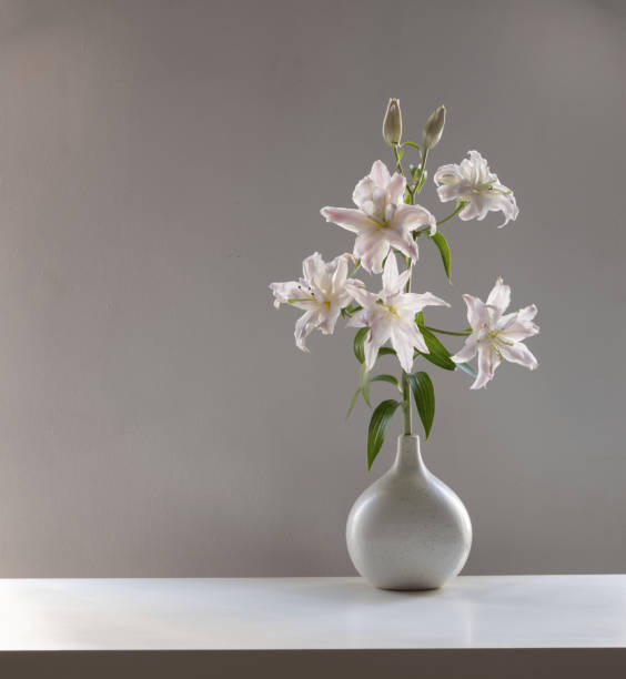 pink summer flowers in vase on background white wall in sunlight