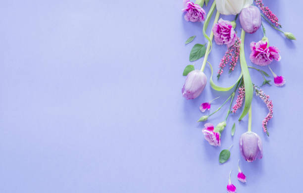 istock frame of beautiful flowers on purple background 2203127624
