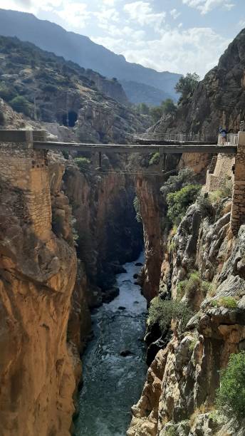 istock Hanging bridge at the King's pathway , Andalusia, Spain 2203129360