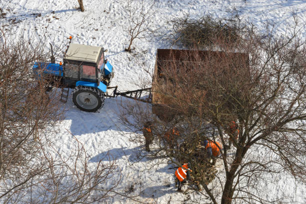 istock blue tractor with a trailer snowy road workers in bright orange vests cutting collecting branches winter landscape leafless trees industrial workwear municipal workers rural forestry winter work heavy 2203134334