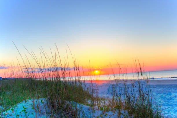 istock Beach Sunrise-Hilton Head, South Carolina 2203134653