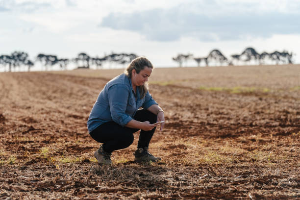 istock Female agronomist checking newly planted soil 2203137003